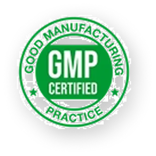 GMP.1_100x 1